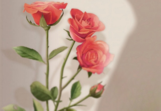 祝天下女神們節(jié)日快樂(lè)！?。? ></a>
                        <a href=